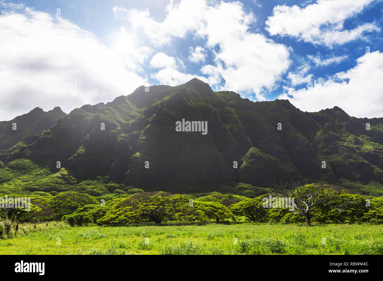 Kualoa mountain range vista, famosa location del film su Oahu Island, Hawaii Foto Stock