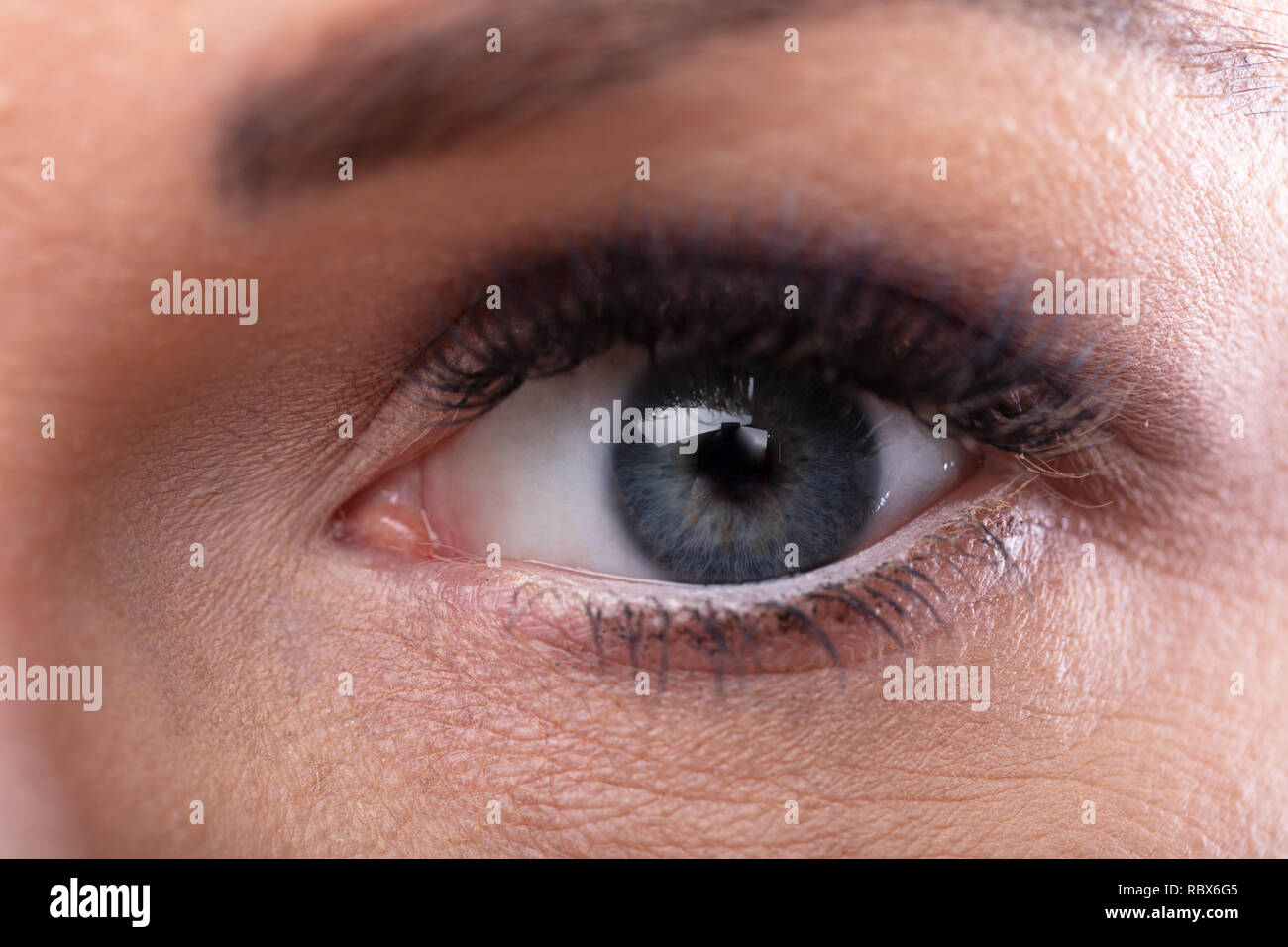 Extreme Close-up di una donna di colore grigio pupille degli occhi Foto Stock