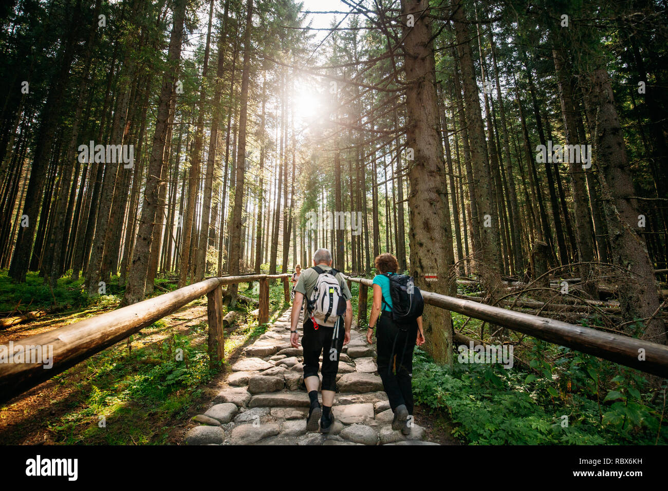 Parco nazionale dei Alti Tatra, Polonia - 29 agosto 2018: turisti gente camminare sul sentiero escursionistico in estate nei monti Tatra paesaggio forestale. Bellissima Scenic Vi Foto Stock