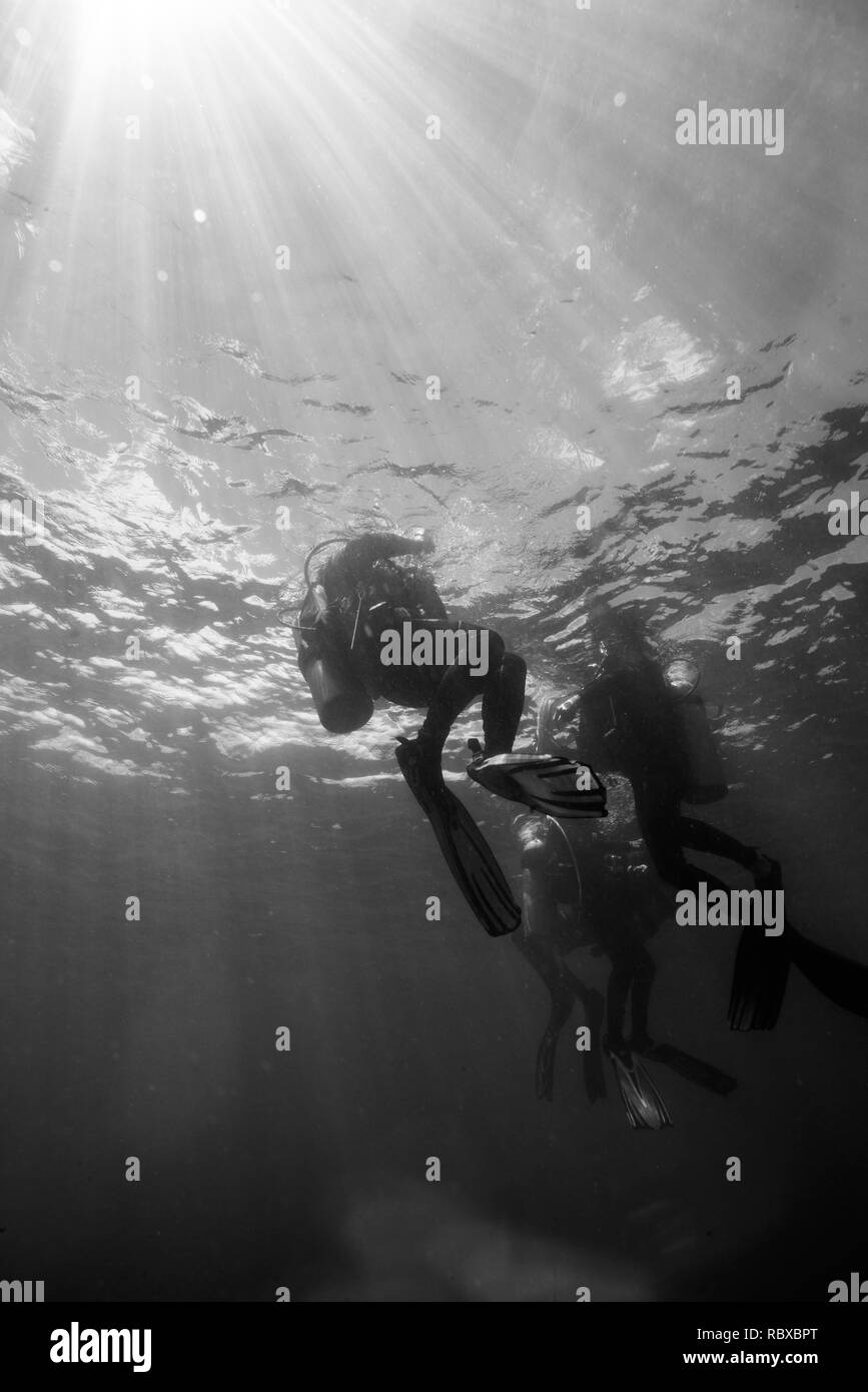 Immersioni subacquee Foto Stock