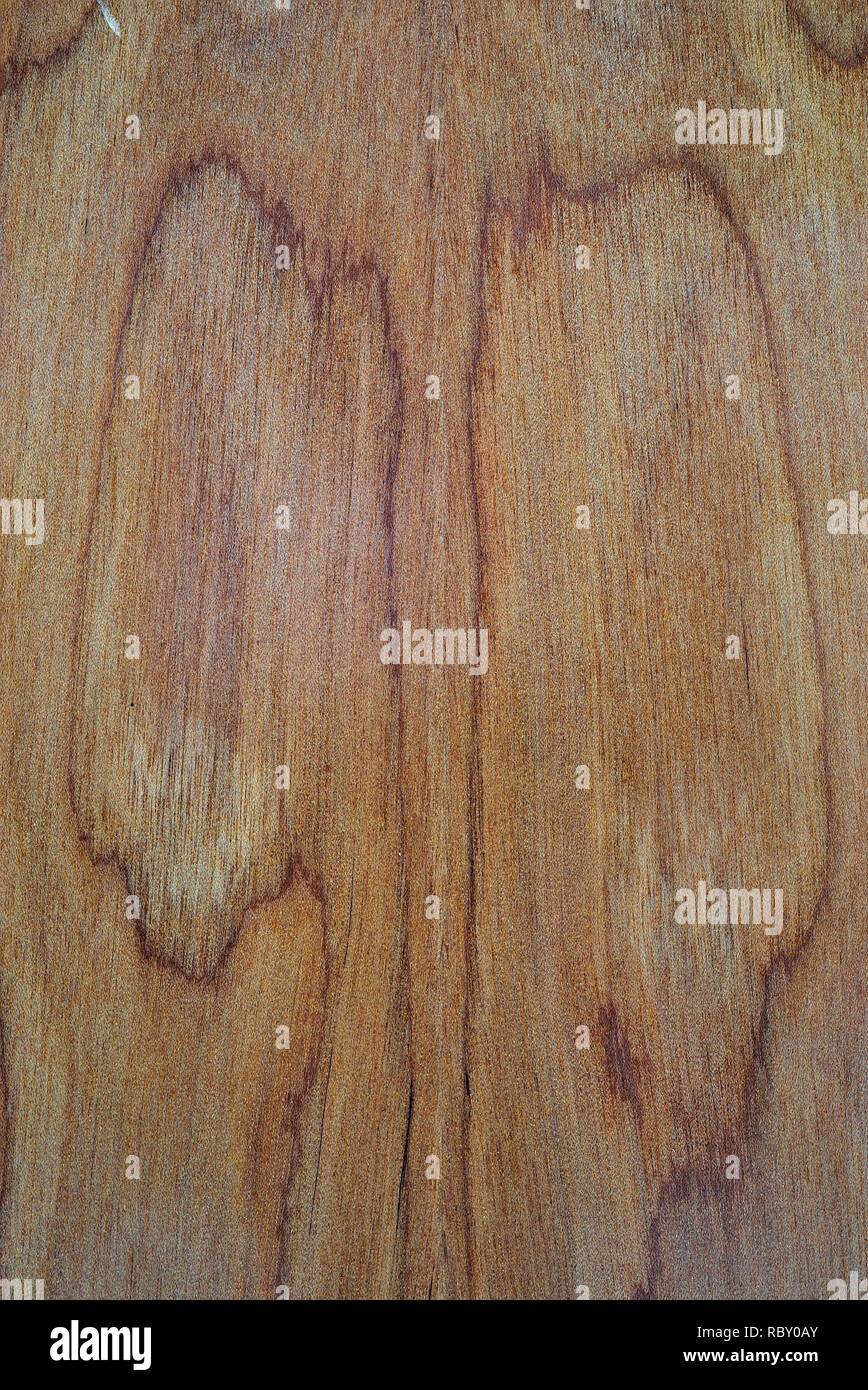 La texture del tappetino di nervature in legno, liuteria, chitarra torna in stretta fino Foto Stock