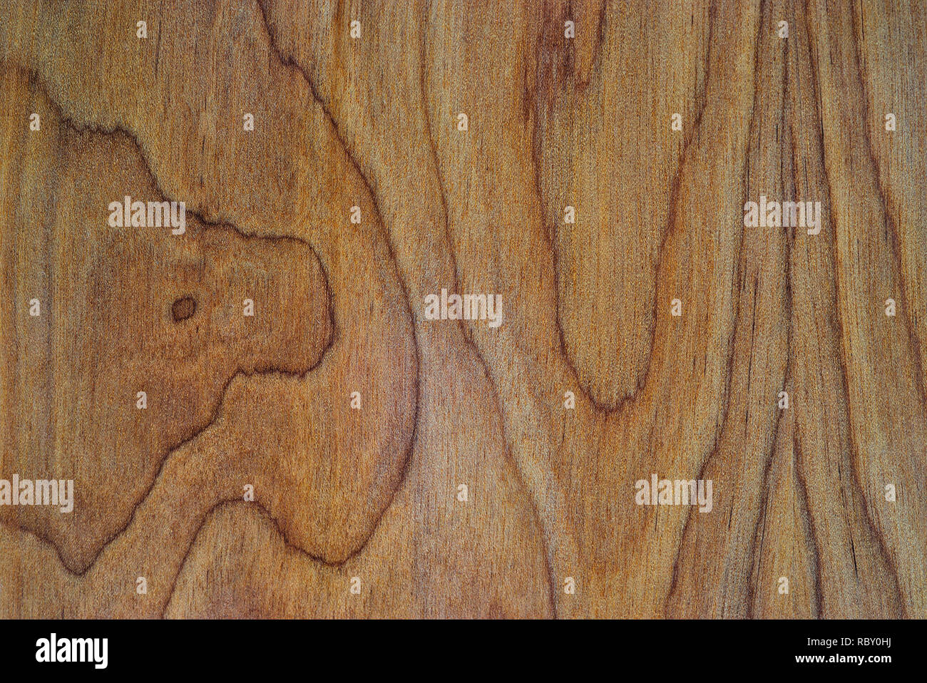 La texture del tappetino di nervature in legno, liuteria, chitarra torna in stretta fino Foto Stock