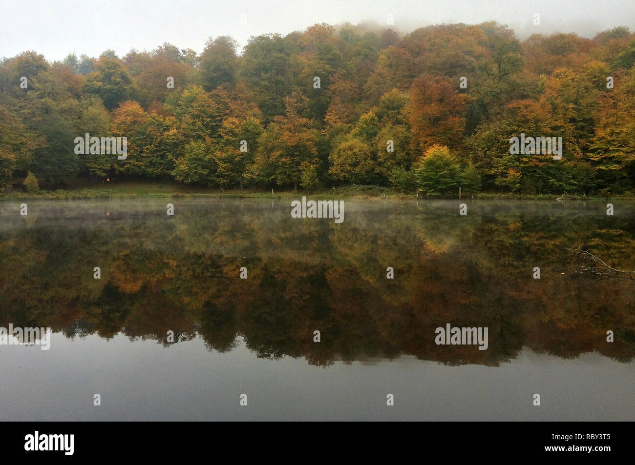 Colorato paesaggio autunnale con la riflessione in un lago.caduta di alberi colorati in rosso giallo e arancione. Colori d'autunno foresta. Autunno di sole sopra il lago Foto Stock
