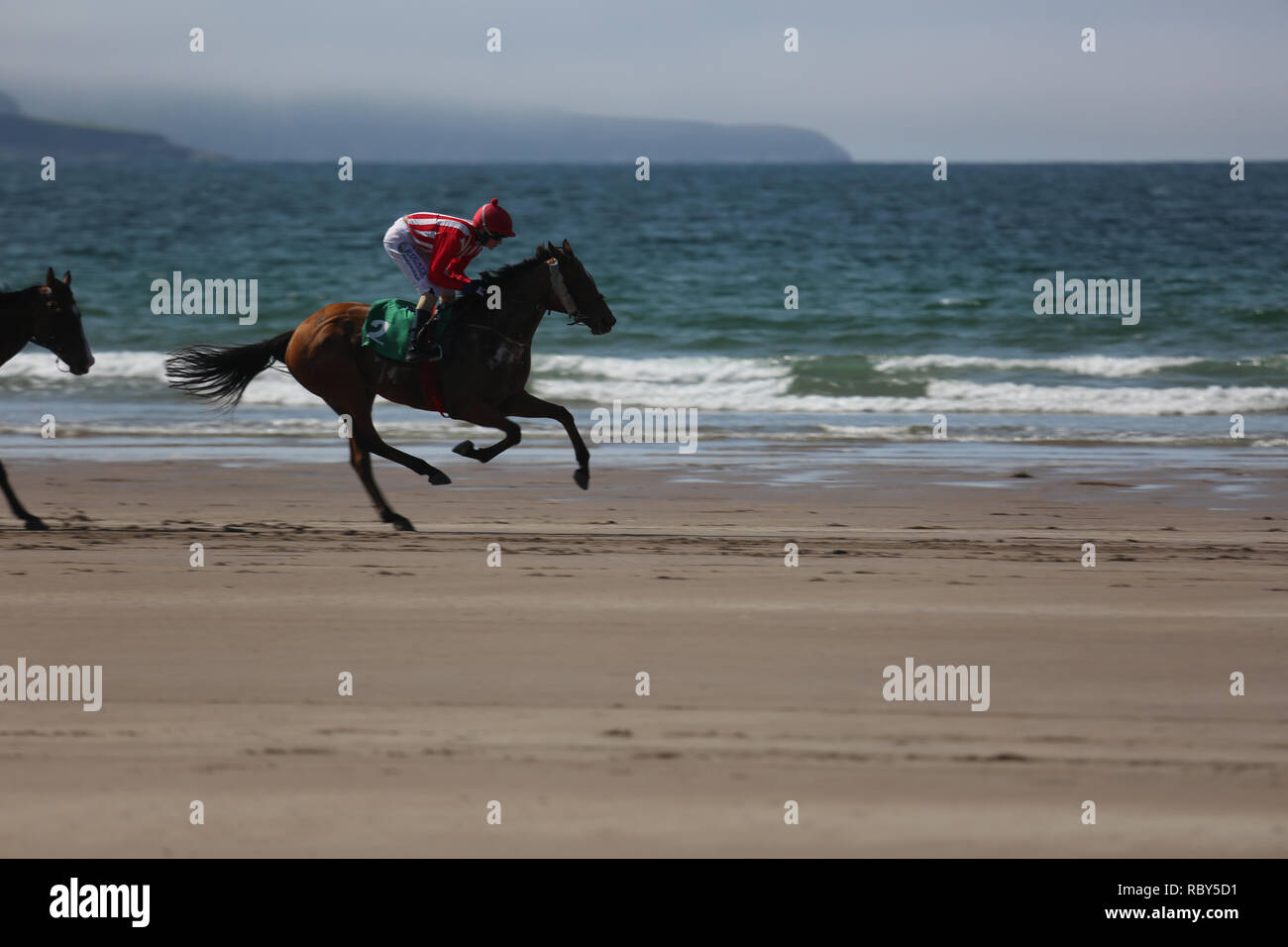 Corse di cavalli sulla spiaggia su Atlantica selvaggia modo, County Kerry, Irlanda Foto Stock