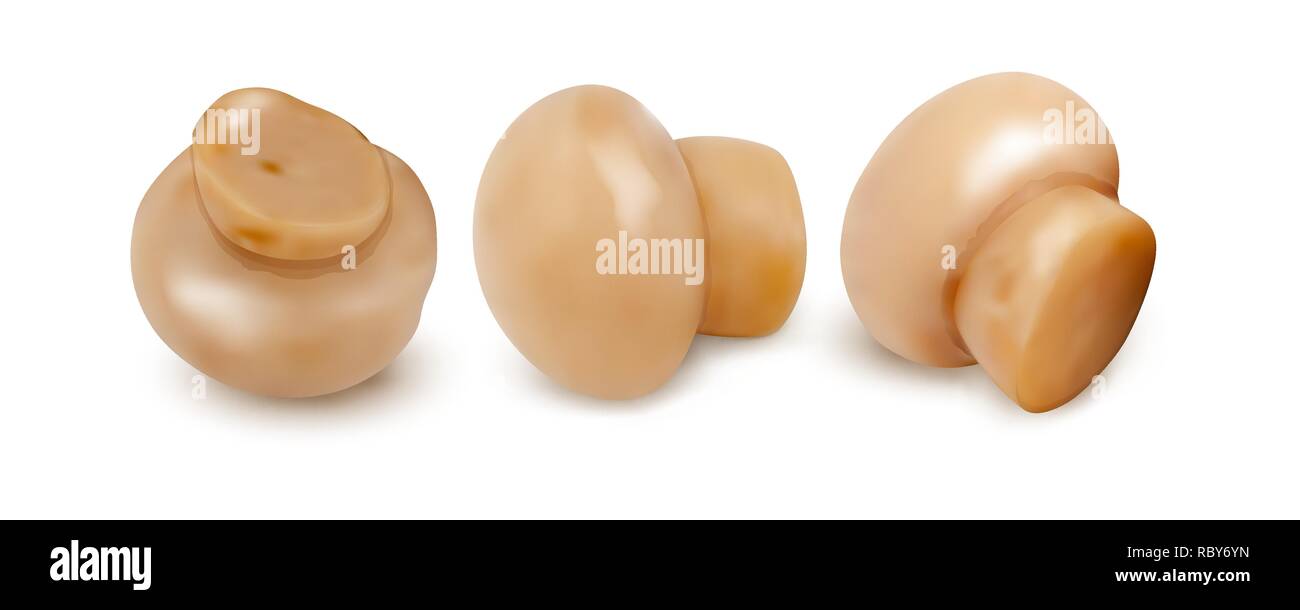 Set di 3d i funghi. Illustrazione Vettoriale. Raccolta di champignon interi isolati su sfondo bianco. Illustrazione Vettoriale