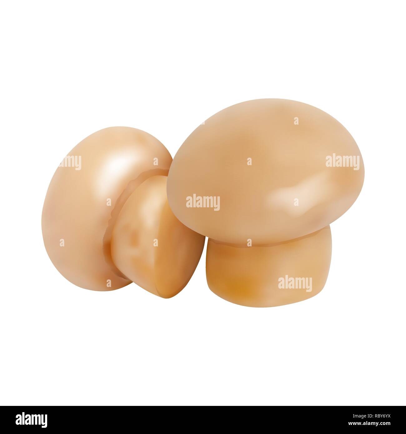 Set di 3d i funghi. Illustrazione Vettoriale. Raccolta di champignon interi isolati su sfondo bianco. Illustrazione Vettoriale