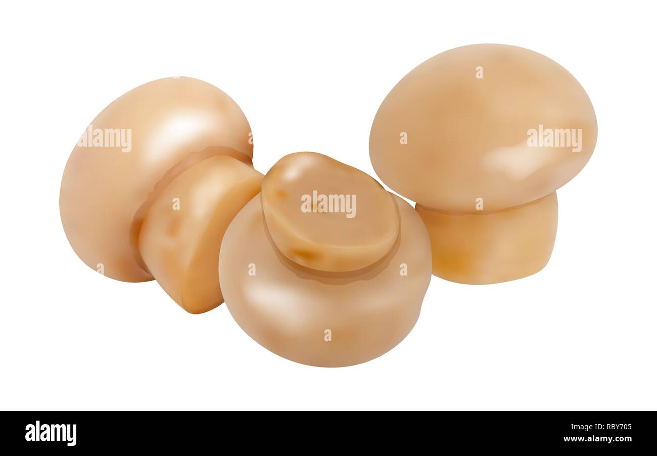 Set di 3d i funghi. Illustrazione Vettoriale. Raccolta di champignon interi isolati su sfondo bianco. Illustrazione Vettoriale