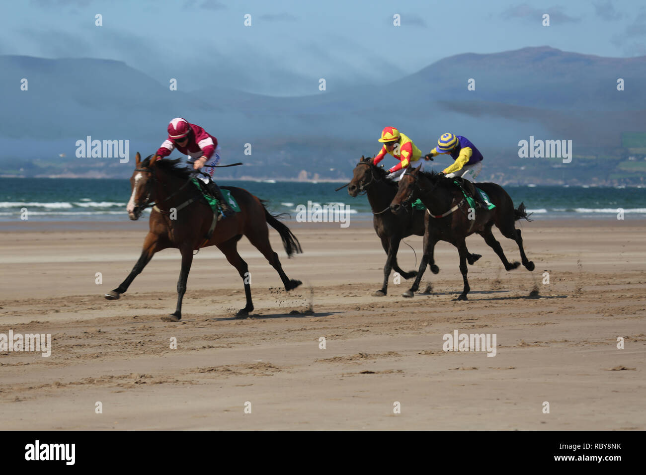 Corse di cavalli sulla spiaggia su Atlantica selvaggia modo, County Kerry, Irlanda Foto Stock