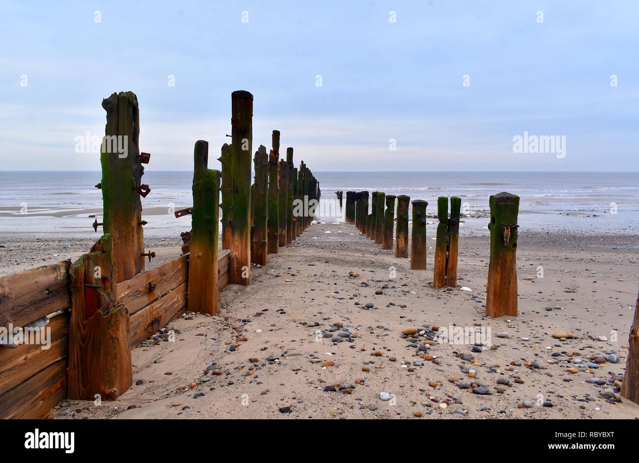 Il vecchio marciume pennelli sulla spiaggia di Kilnsea. Foto Stock