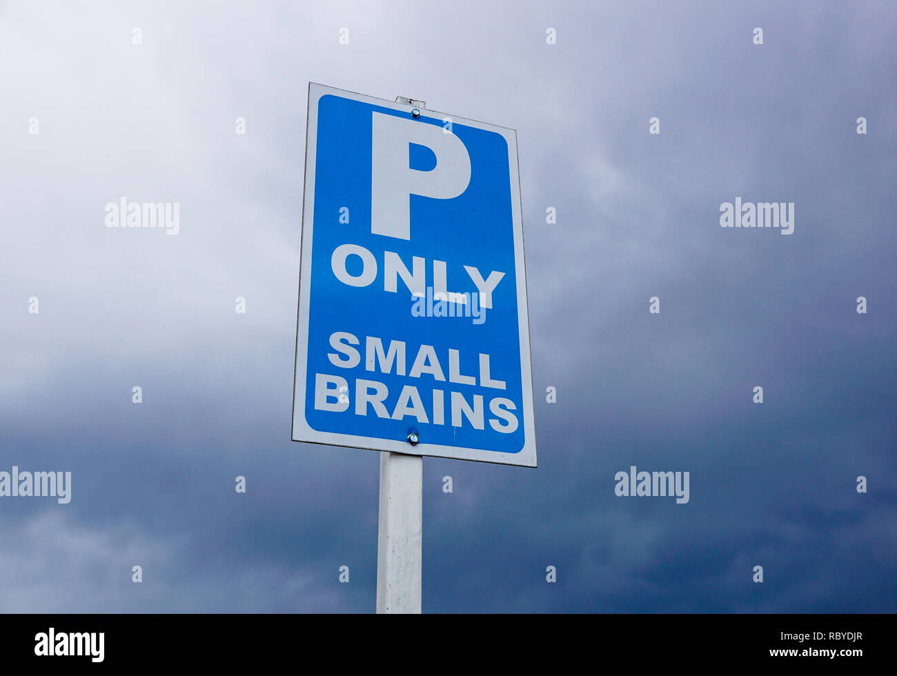 Segnale di stazionamento . segnale di parcheggio riservato per determinate categorie Foto Stock