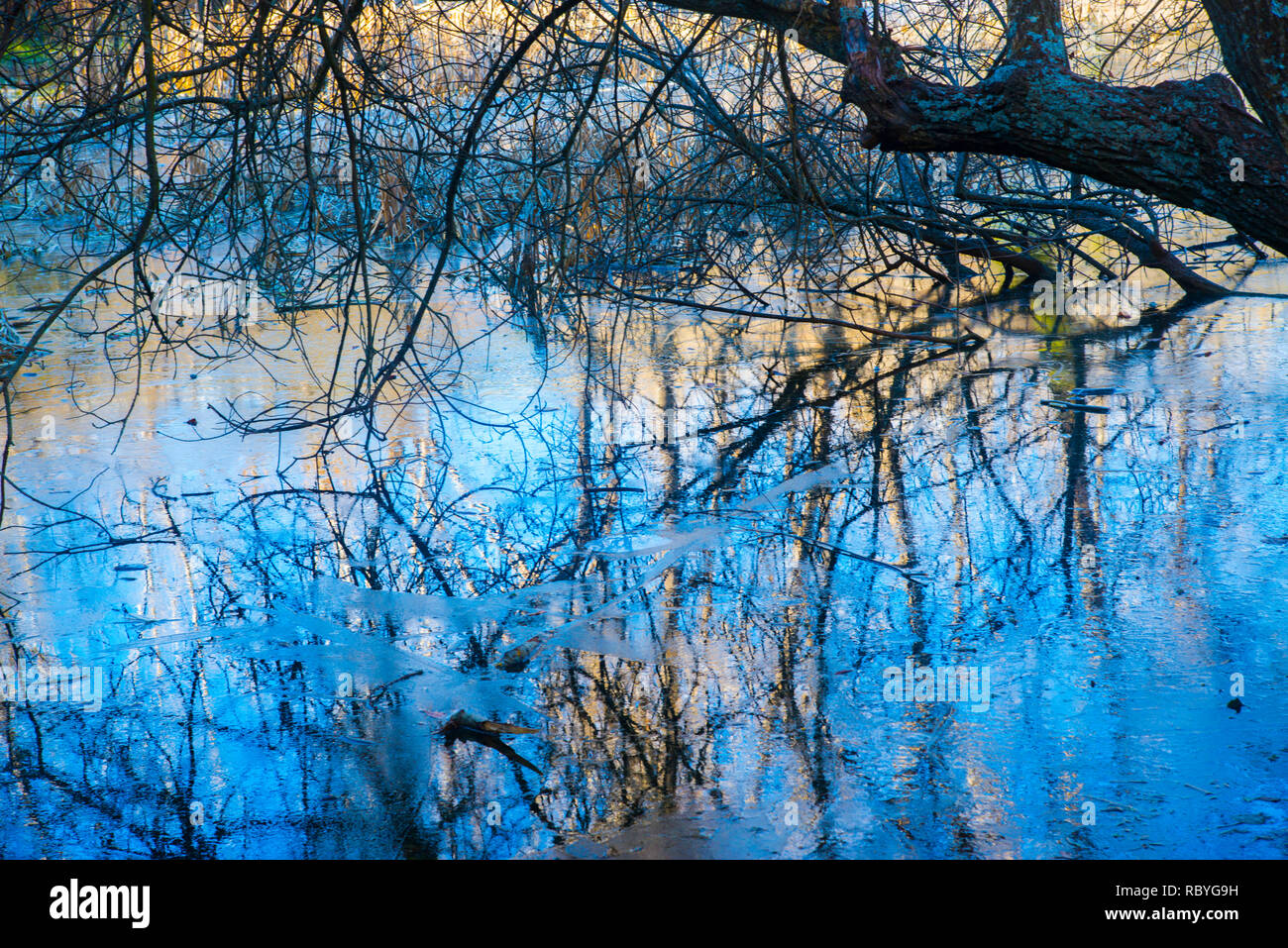 Riflessioni sull'acqua congelata. Foresta finlandese, Rascafria, provincia di Madrid, Spagna. Foto Stock