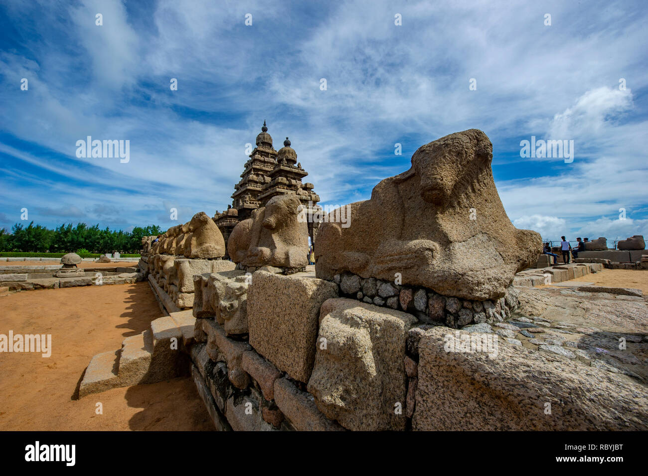 Gruppo di Monumenti a Mahabalipuram Foto Stock