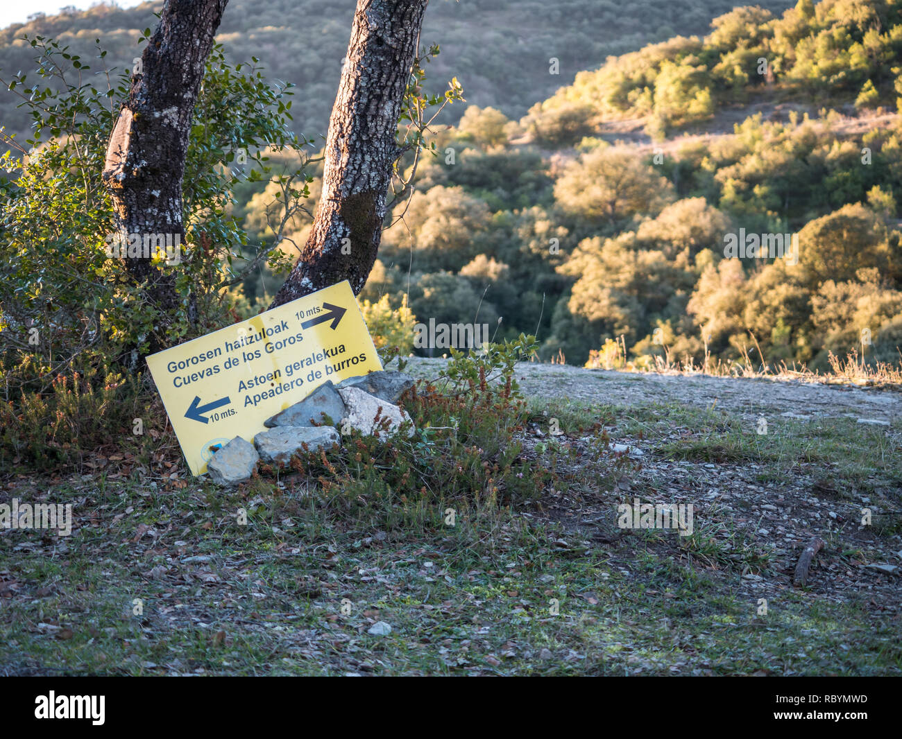 Cartello giallo messo a terra fra le pietre e gli alberi. Il segno indica la Los Goros grotta sulla destra a. l'area di ormeggio per gli asini sulla sinistra Foto Stock