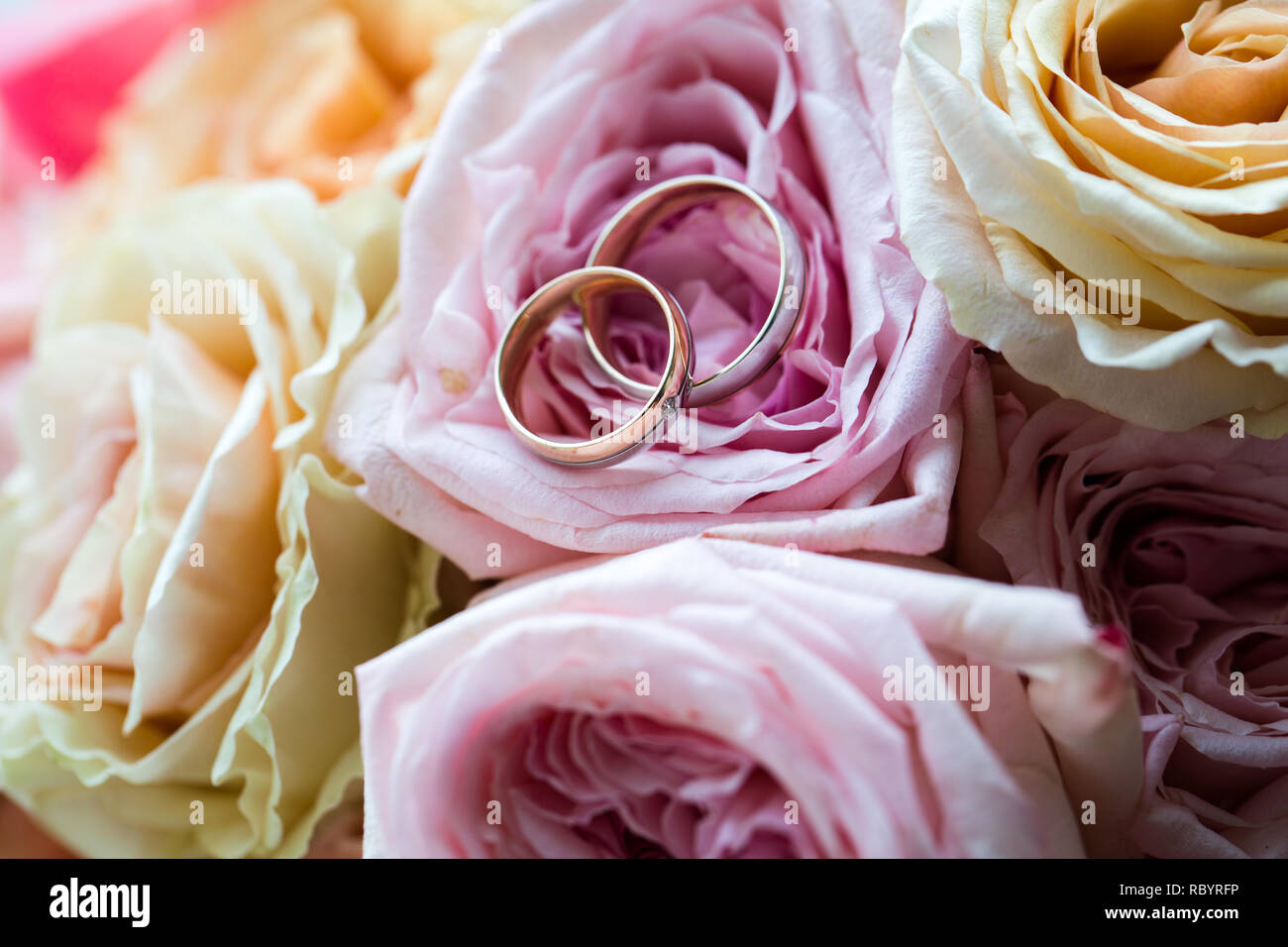 Una coppia di nozze anelli in oro su un bouquet di fiori colorati, close up shot Foto Stock