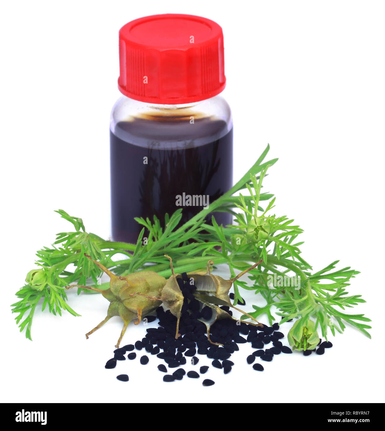 Nigella foglie con semi e olio essenziale in una bottiglia Foto Stock