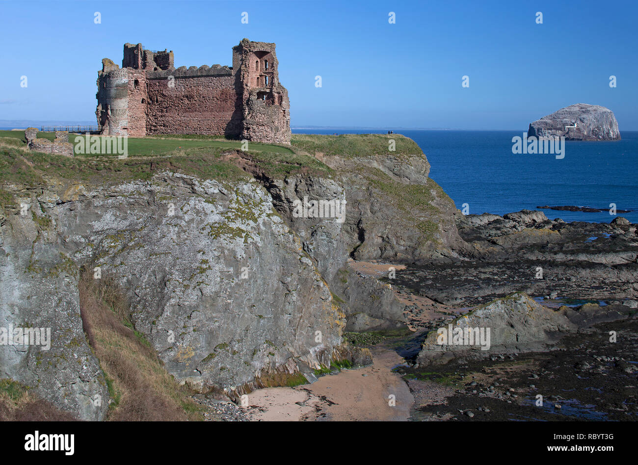 Vista diurna di Tantallon Castle e Bass Rock vicino a North Berwick, East Lothian, Scozia Foto Stock