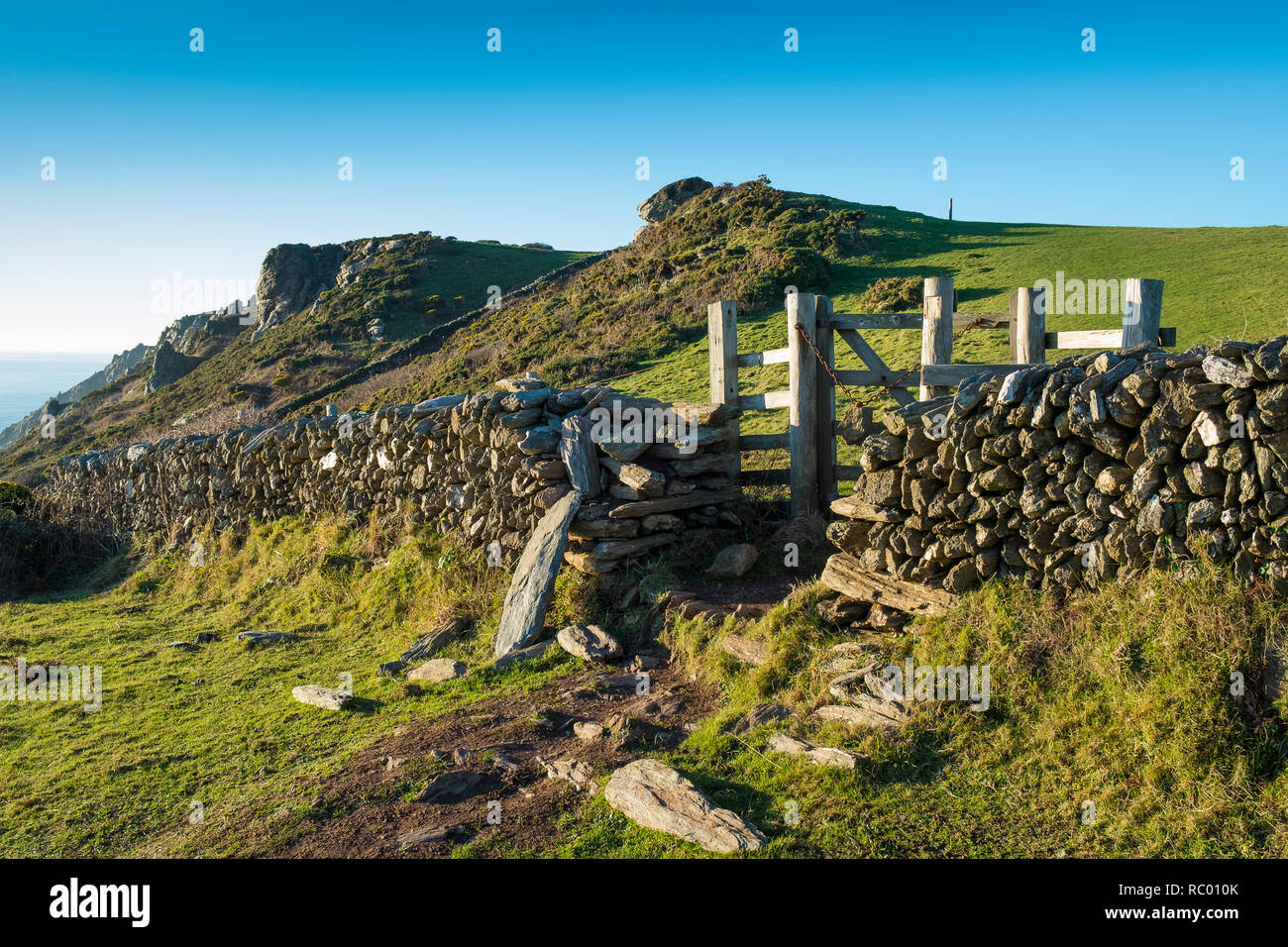 Costiero roccioso promontorio. La testa del bullone, Est Soar, Salcombe, Sud prosciutti. Devon. Regno Unito Foto Stock