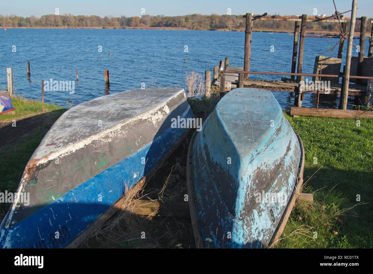 Il Werder, Havel, Fischerboote auf der Werderinsel, Landkreis Potsdam-Mittelmark, Brandeburgo | Werder, Havel, barche da pesca sul Werder Isola, distri Foto Stock