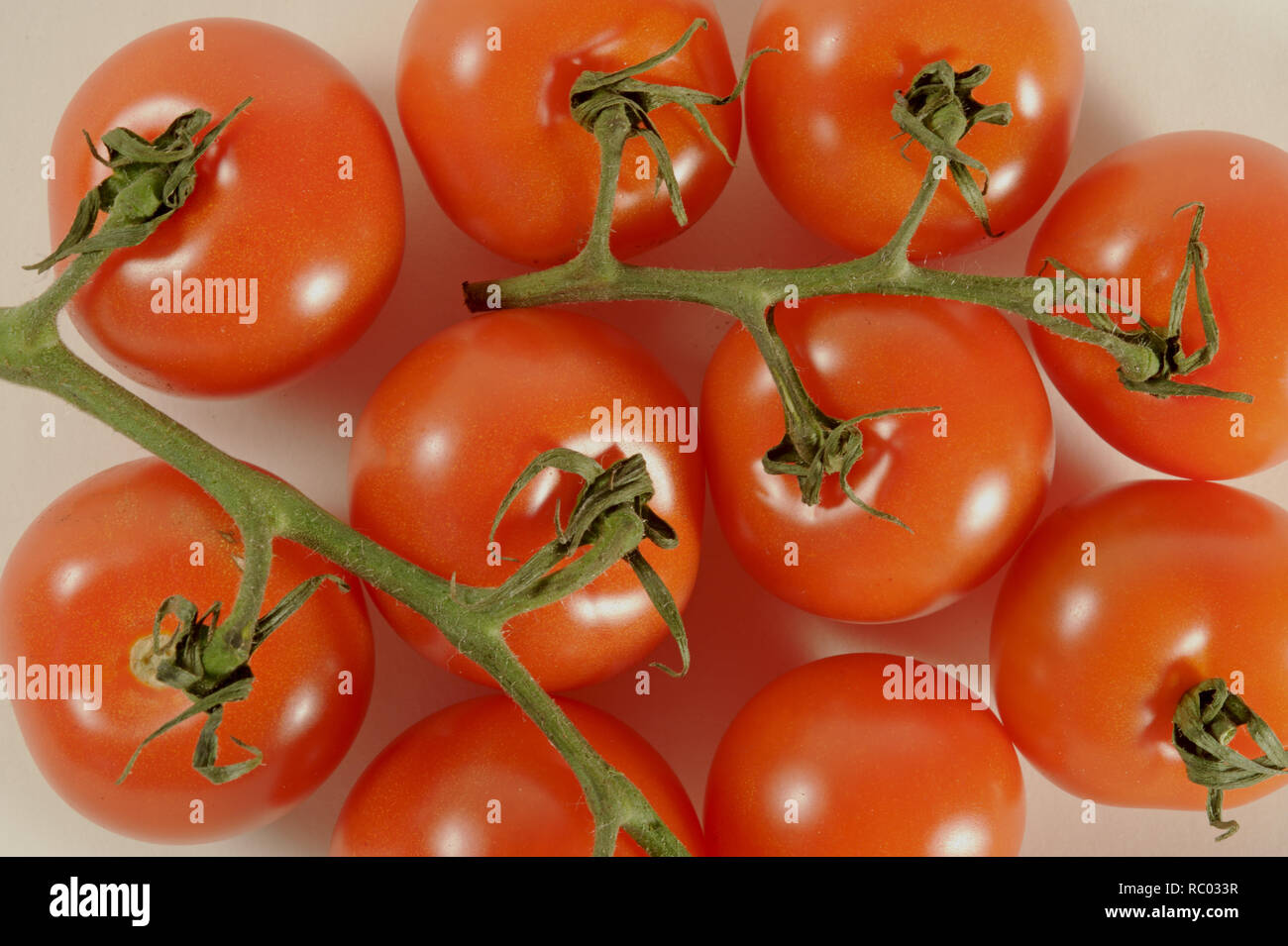 Frische Tomaten | pomodori freschi Foto Stock