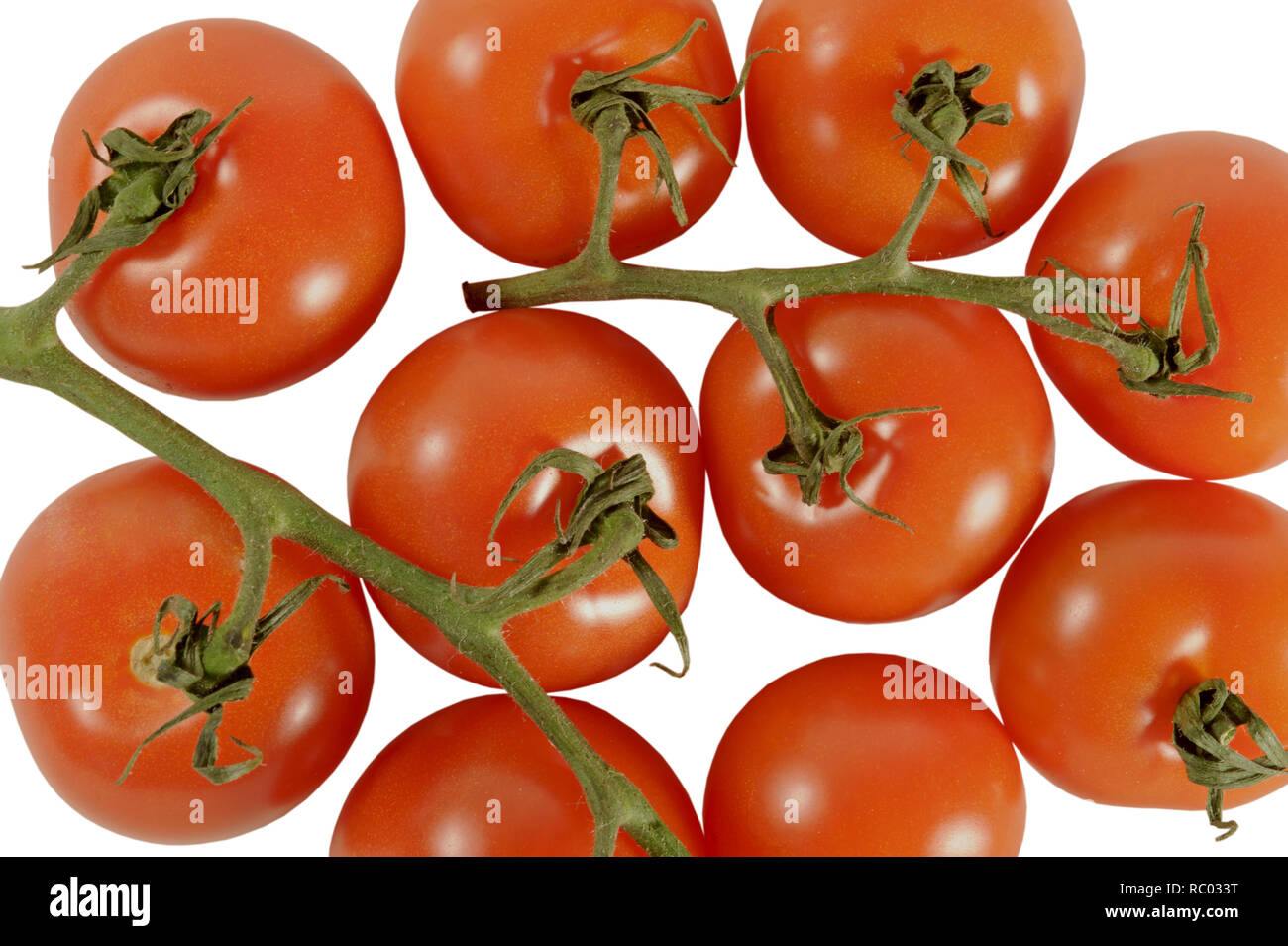 Frische Tomaten | pomodori freschi Foto Stock