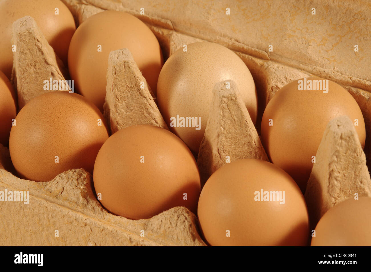 Eier in Schachtel | le uova nel pacchetto Foto Stock