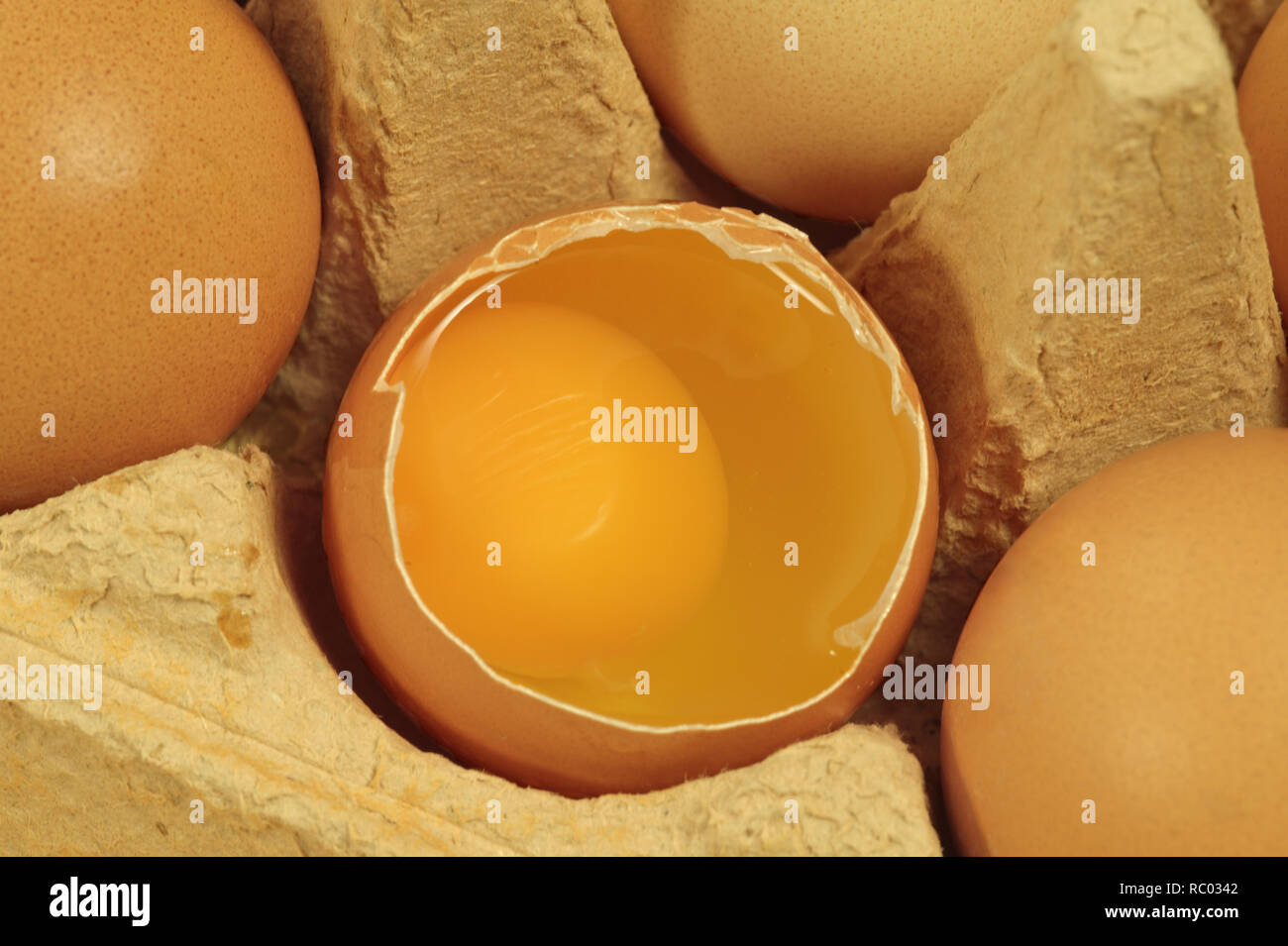 Eier in Schachtel | le uova nel pacchetto Foto Stock