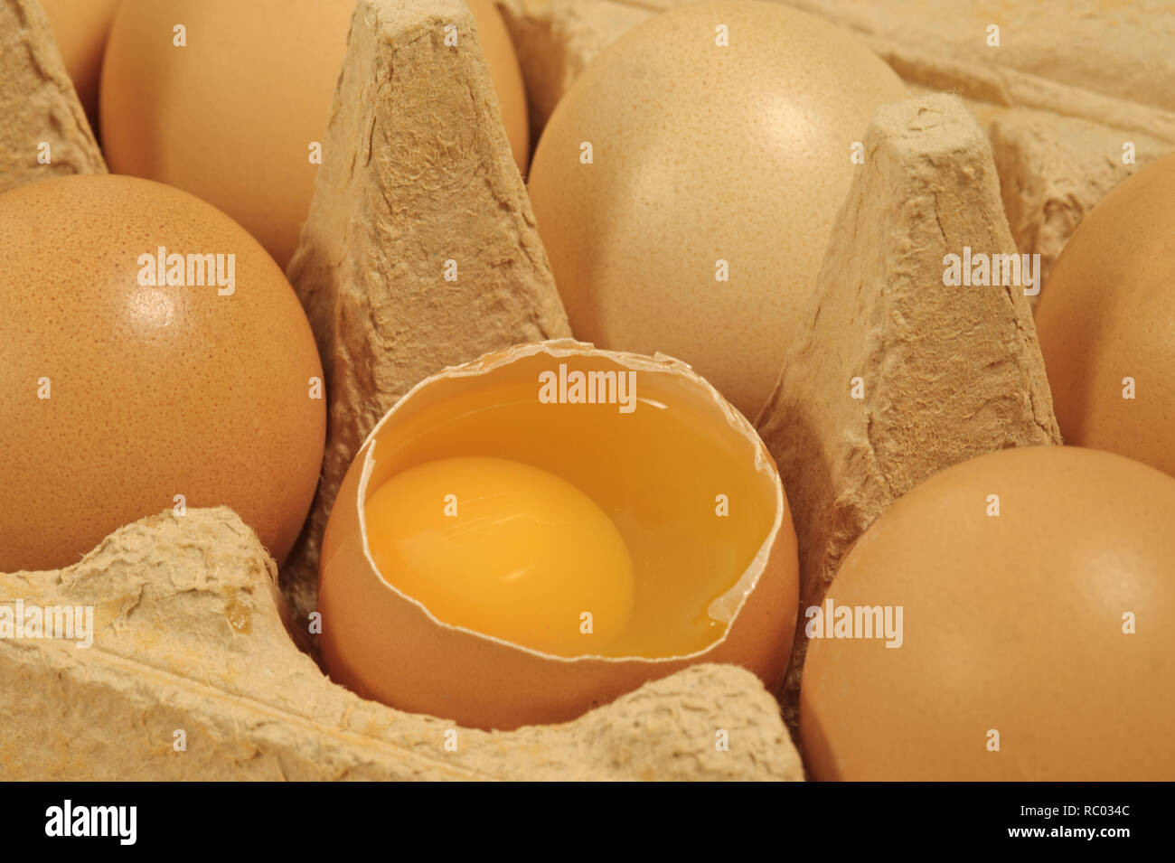 Eier in Schachtel | le uova nel pacchetto Foto Stock