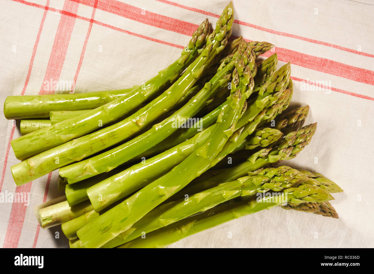 Grüner Stangenspargel | asparago verde Foto Stock