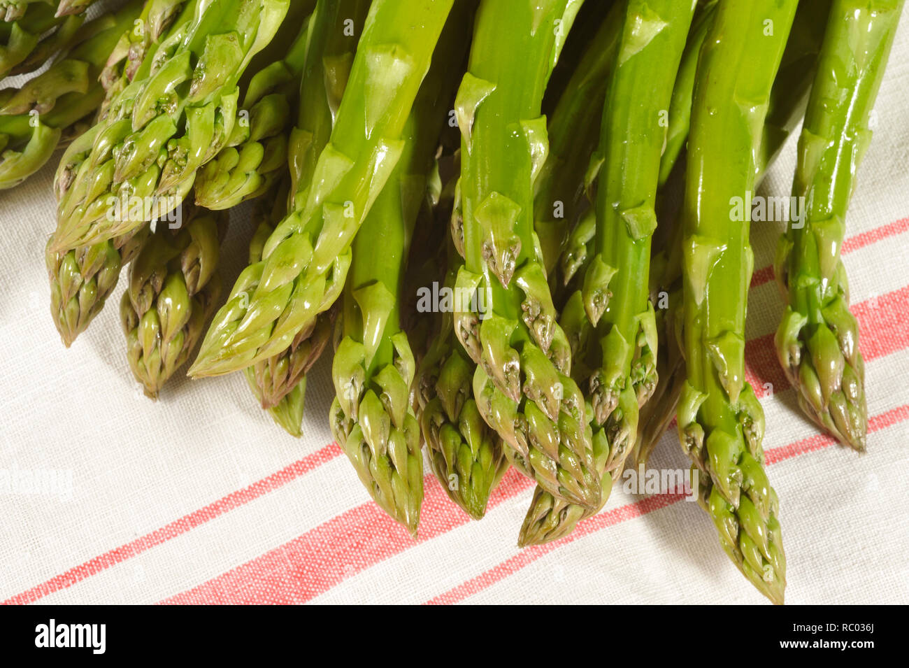 Grüner Stangenspargel | asparago verde Foto Stock