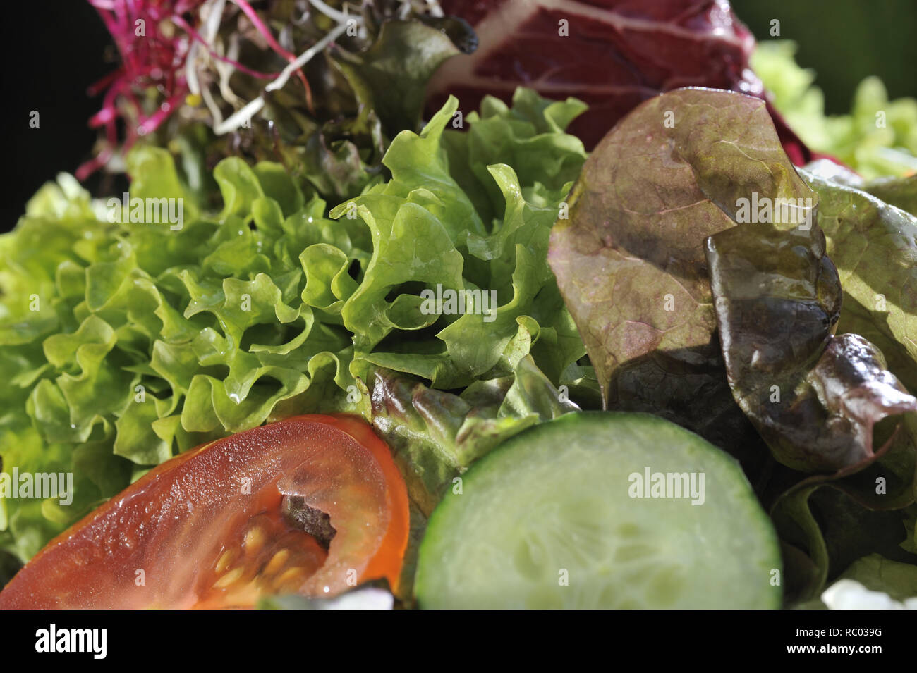 Grappolo di frischer Frühjahrssalat | insalata fresca di colore Foto Stock