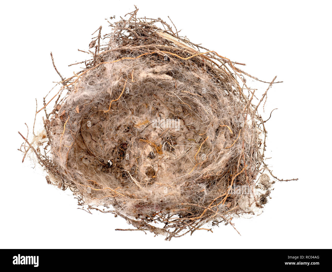 Vista superiore del vuoto bird nest isolato su bianco, piuttosto trasandato, molto piccola - circa 4 pollice attraverso. Foto Stock