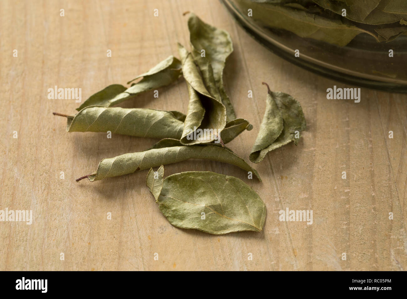 Aromatiche foglie di curry close up Foto Stock