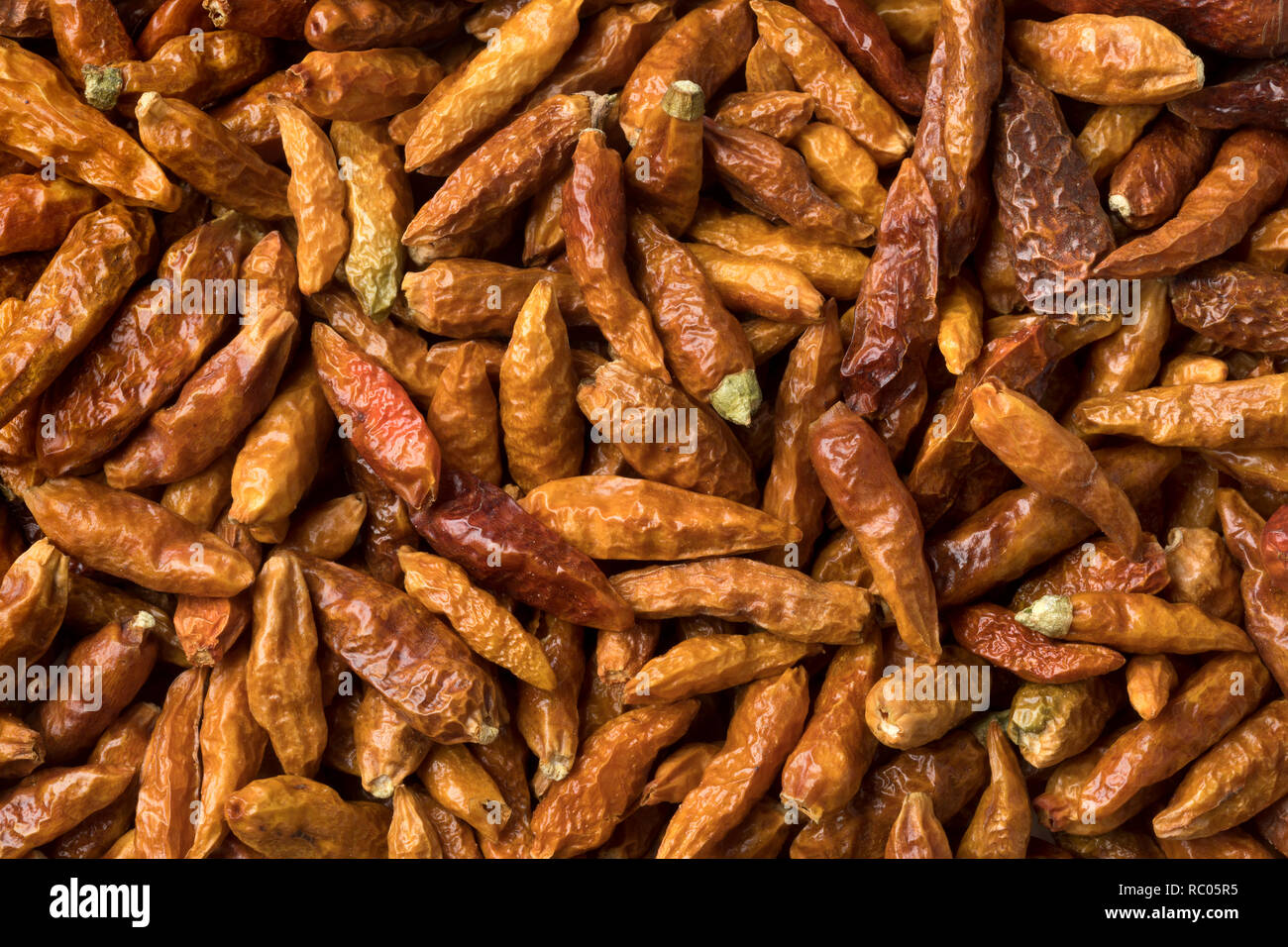Essiccato red hot chili peppers full frame close up Foto Stock