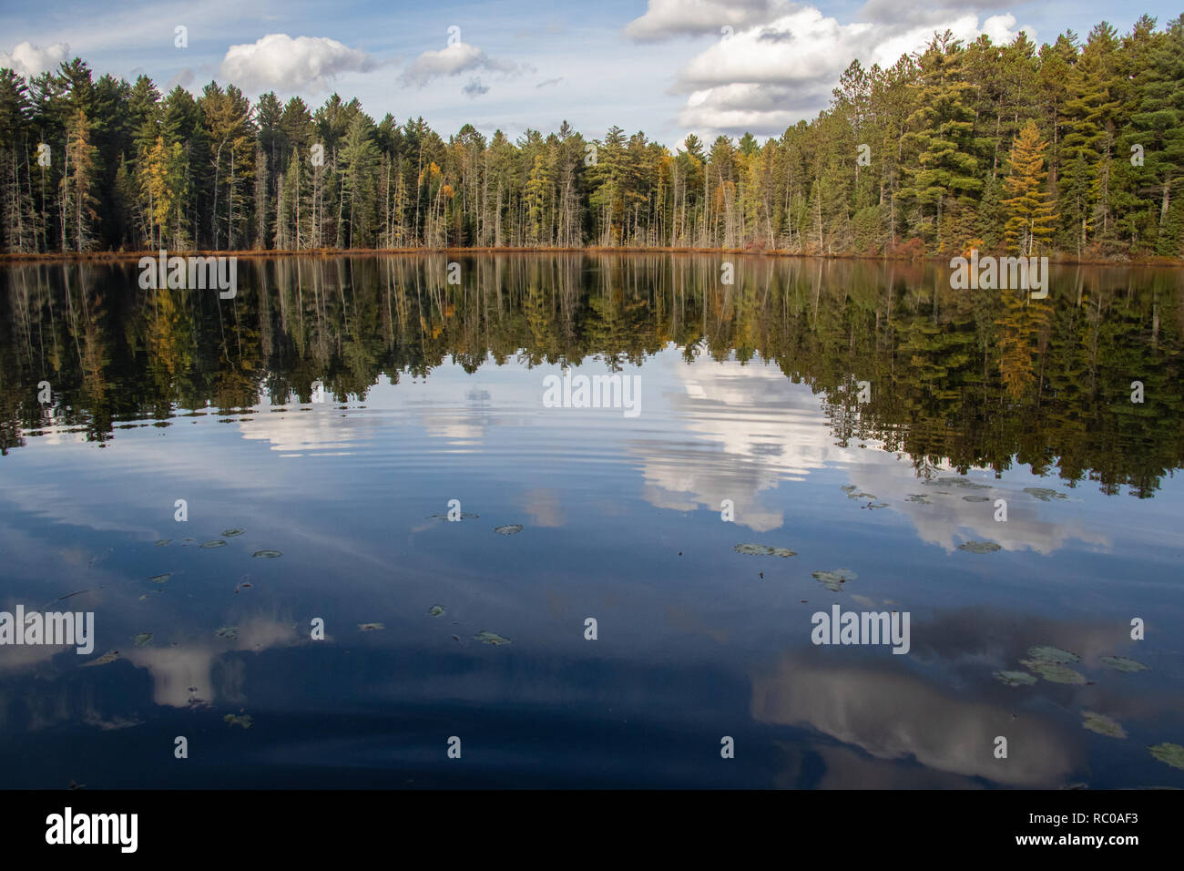 Il lago di riflessioni su un tardo pomeriggio autunnale Foto Stock