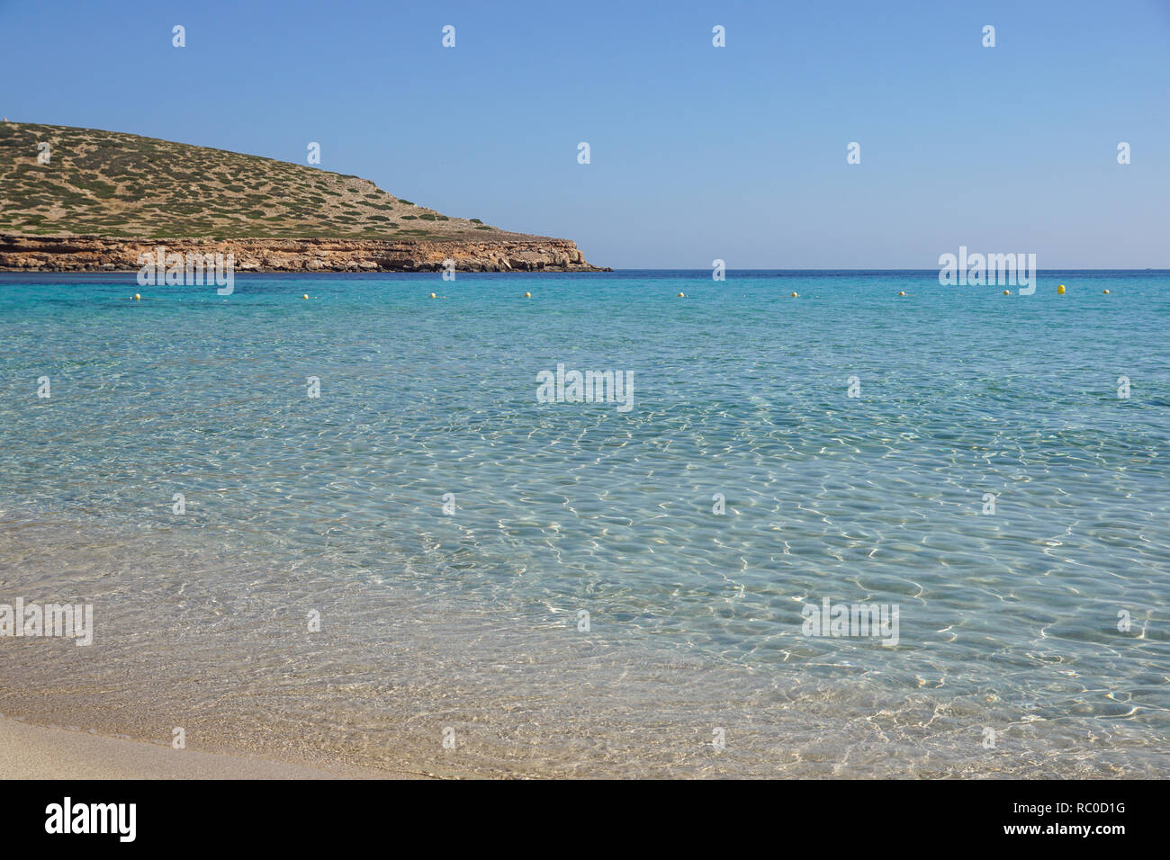 Bella sandy Cala Comte spiaggia con acque azzurre acque, isola di Ibiza, Spagna Foto Stock