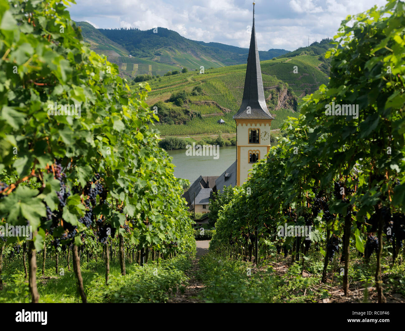 Bremm, Mittelmosel, Calmont, Landkreis Cochem-Zell Renania-Palatinato, Deutschland, Europa | Bremm, Calmont, distretto Cochem-Zell, Medio Mosella, Reno Foto Stock