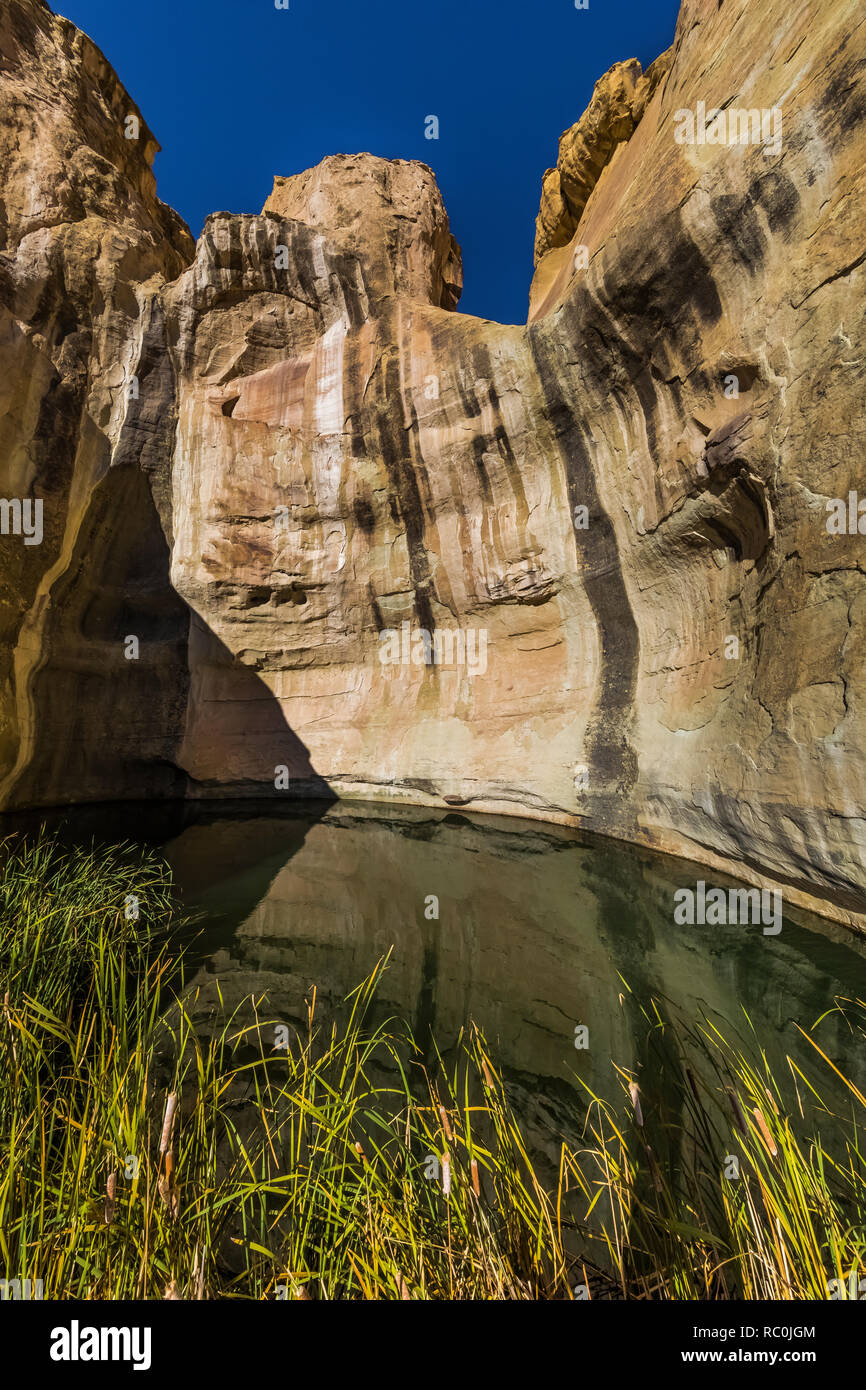 Questa piscina è stata una fondamentale fonte di acqua per i viaggiatori e antichi residenti per un migliaio di anni o più, visto lungo la scritta Rock Trail i Foto Stock