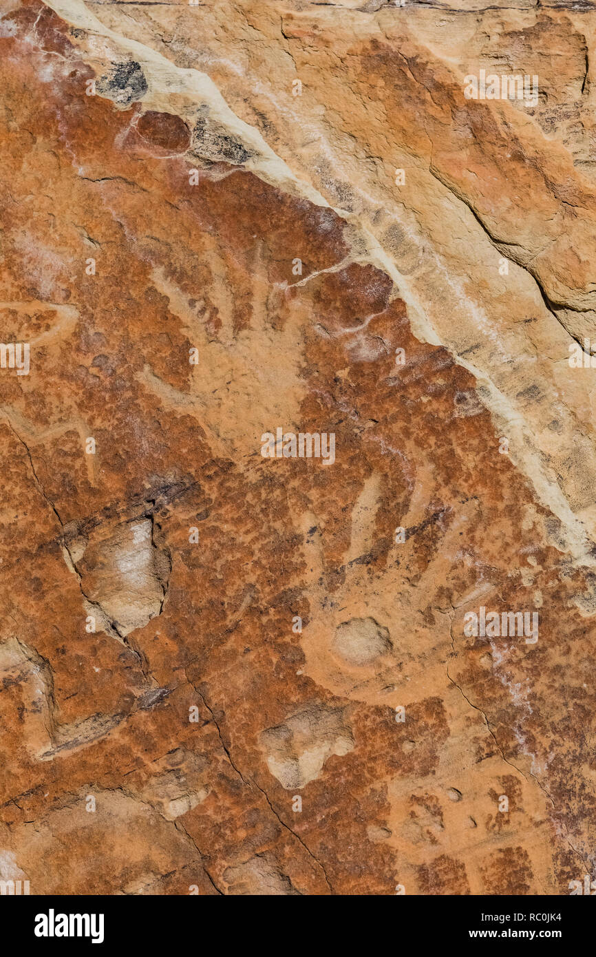 Incisioni rupestri di mani e altri simboli scolpiti nella roccia di iscrizione da Puebloans ancestrale, visto lungo la scritta Rock Trail, El Morro National Foto Stock