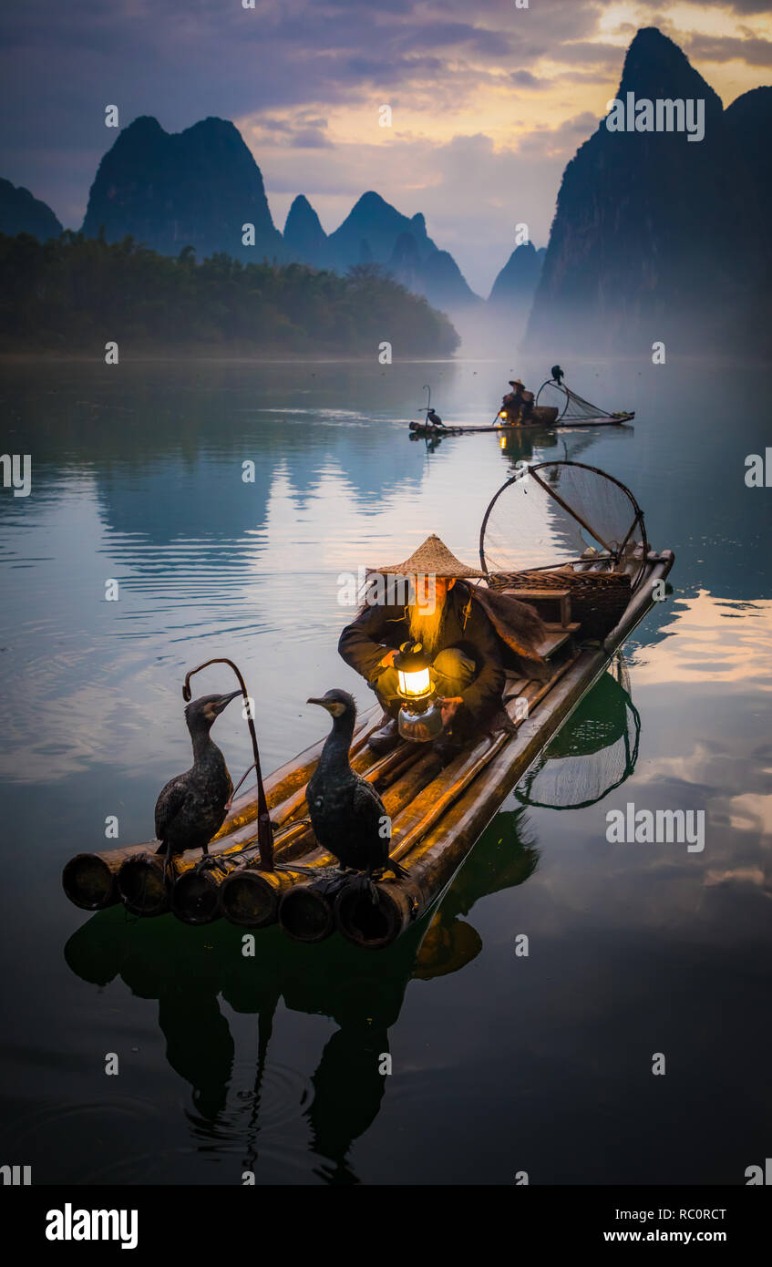 Cormorano pescatore e i suoi uccelli sul fiume Li in Yangshuo, Guangxi, Cina Foto Stock