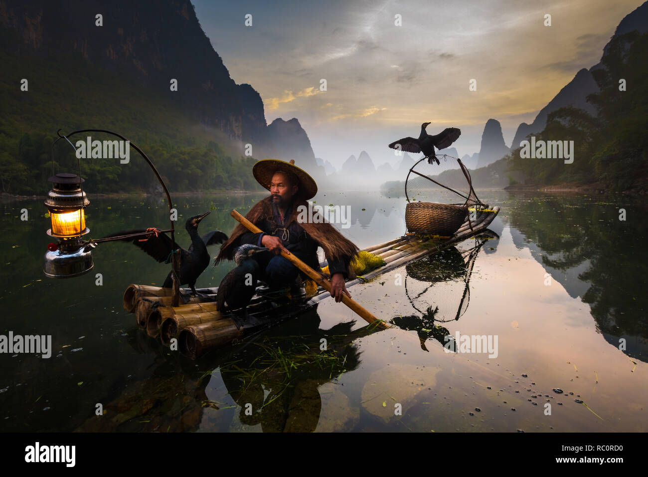 Cormorano pescatore e i suoi uccelli sul fiume Li in Yangshuo, Guangxi, Cina Foto Stock