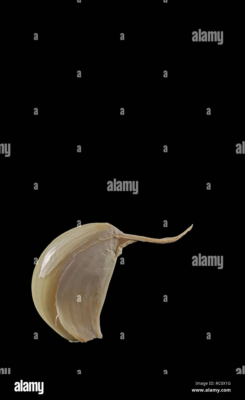 Aglio tubero su sfondo nero Foto Stock