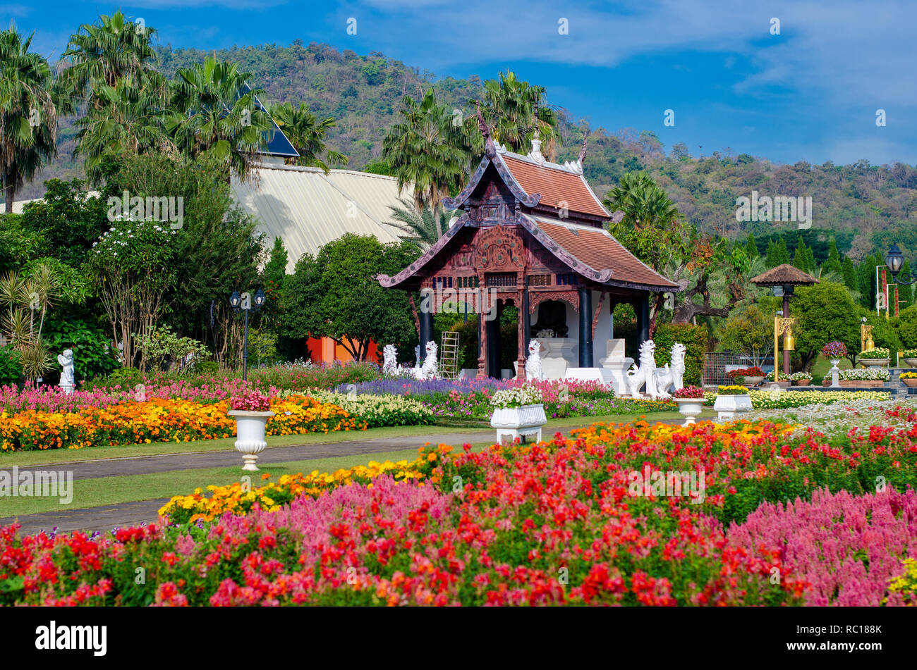 Flower Garden Royal Park Ratchaphruek Chiang Mai Thailandia Foto Stock