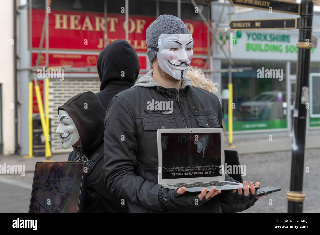 Brentwood, Essex, Regno Unito. Il 13 gennaio 2019. Un cubo di verità protestare in Brentwood High Street da anonimo per i senza voce; un gruppo promuovere il veganismo e il benessere degli animali. I computer portatili e schermi video spettacolo desolante di filmati di presunta crudeltà nei confronti degli animali. Credit Ian Davidson/Alamy Live News Foto Stock