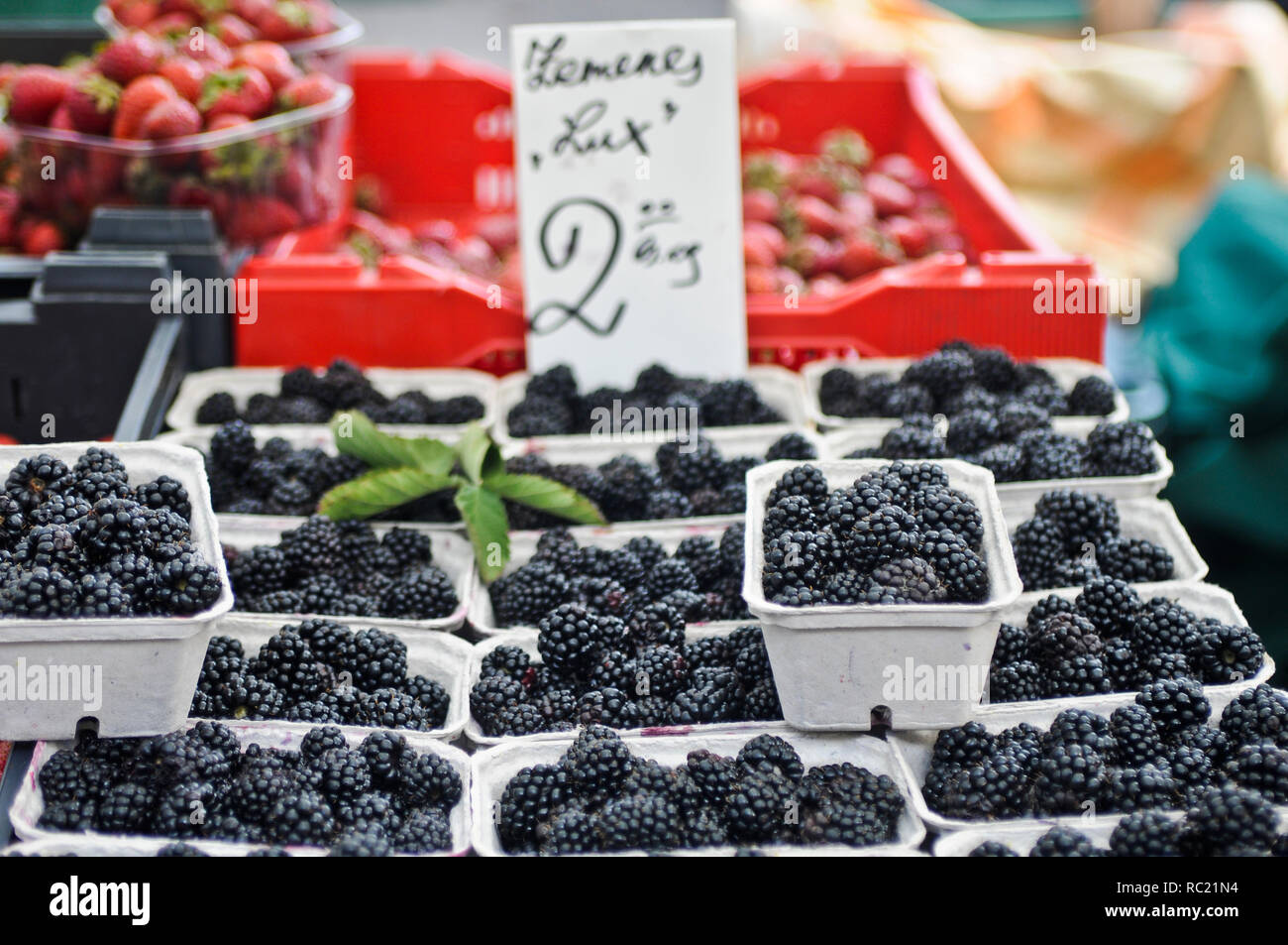 Lamponi in un negozio di frutta. Riga Mercato Centrale (Centraltirgus), Lettonia Foto Stock