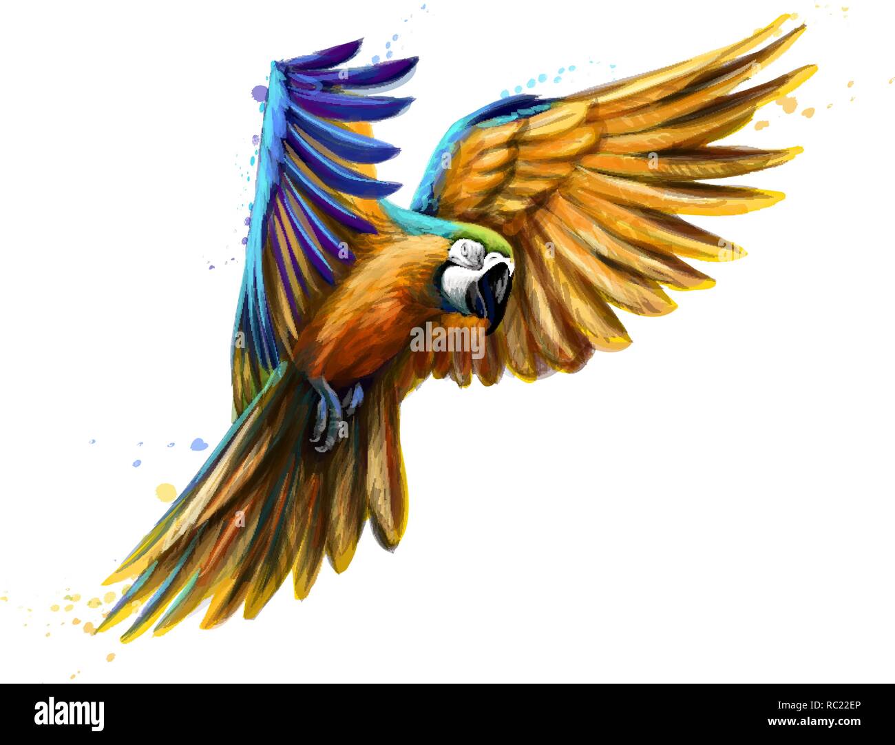 Ritratto blu-giallo macaw in volo da un tocco di acquerelli. Ara parrot, pappagallo tropicale Illustrazione Vettoriale
