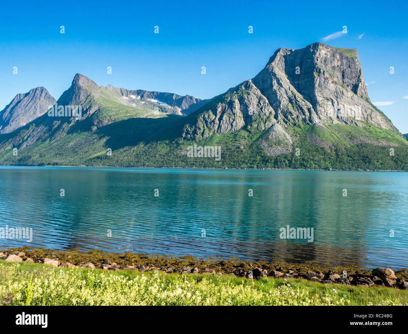 Roccia ripida formazione a Bergsfjord, vicino Bergsbotn, isola Senja, Troms, Norvegia Foto Stock