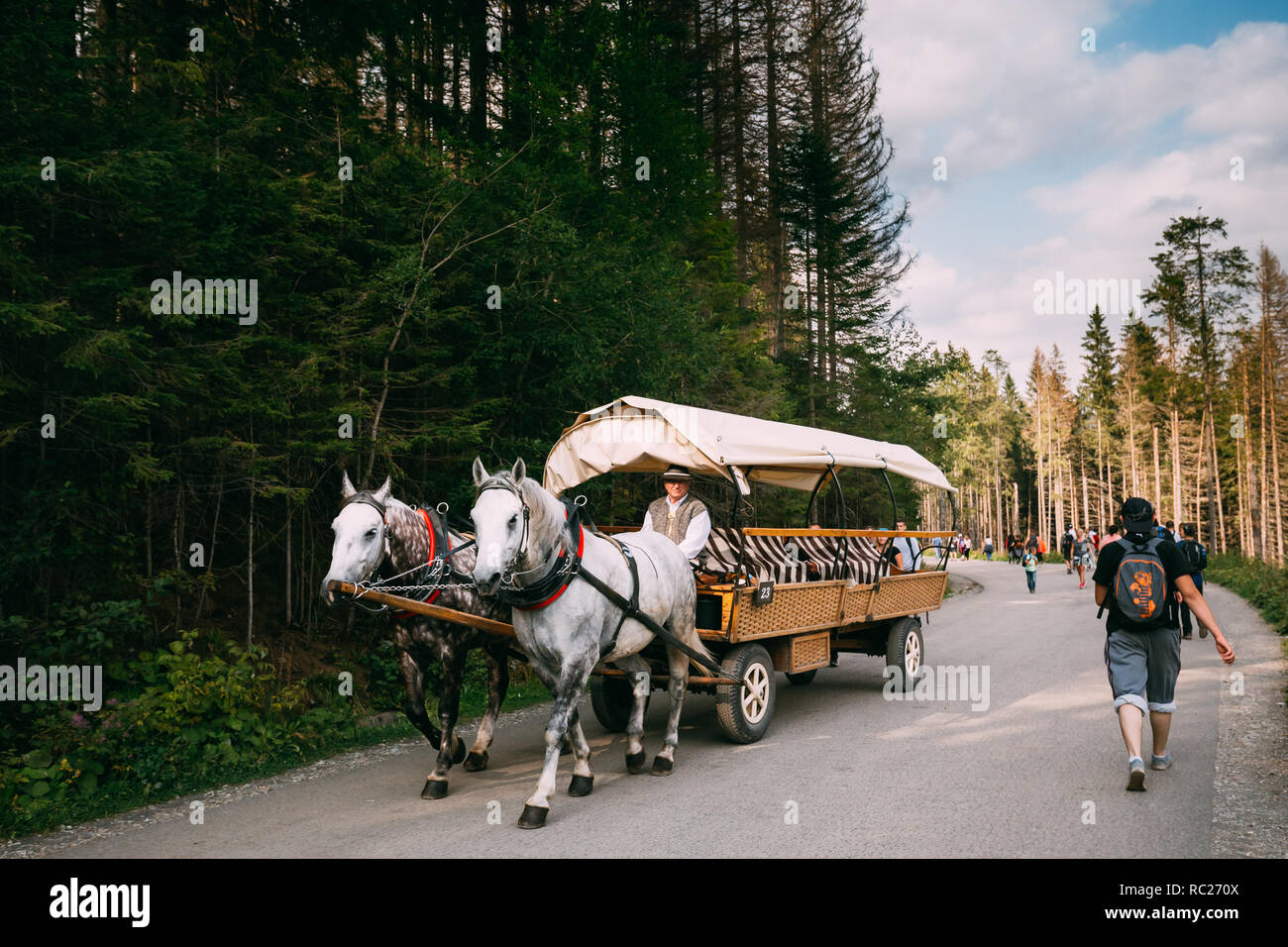 Parco nazionale dei Alti Tatra, Polonia - 29 agosto 2018: l'uomo in Nazionale Polacca tradizionale etnica Folk costumi cavalcare un carrello imbrigliato da una coppia di cavalli lungo Foto Stock
