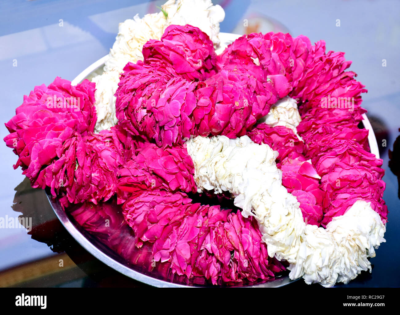 Indian cerimonia di nozze ghirlande capture Foto Stock