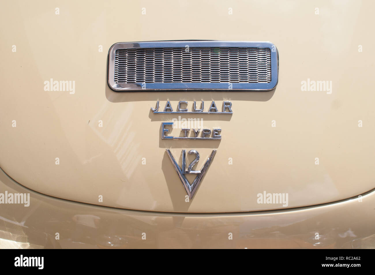 Sportello del bagagliaio della Jaguar V12 e tipo. Foto Stock