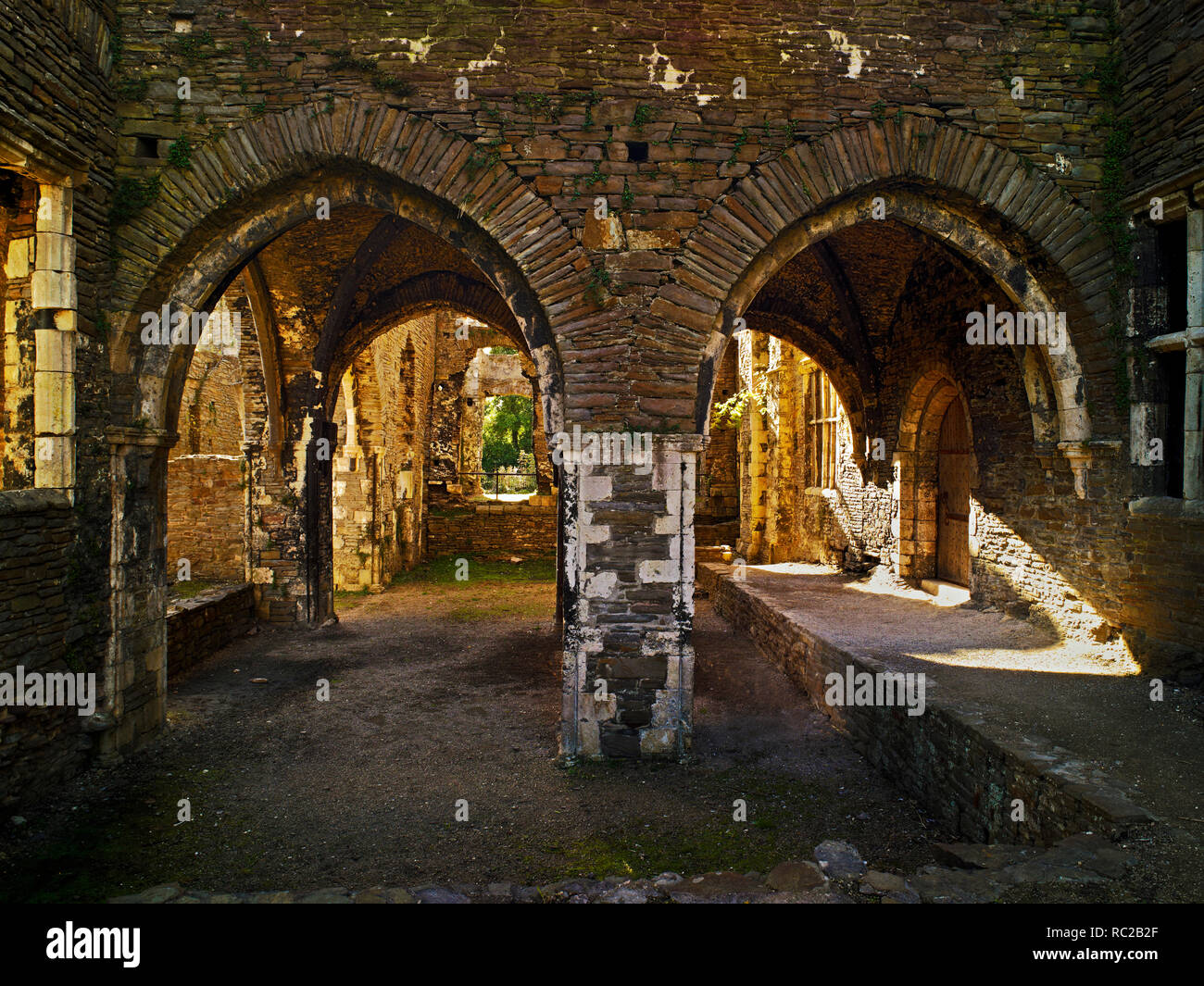 Un soleggiato vista di parte delle rovine della storica Neath Abbey, Wales, Regno Unito Foto Stock